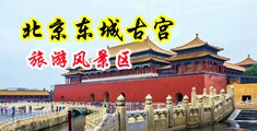 插女人下面视频中国北京-东城古宫旅游风景区